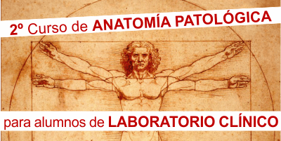 Cartel Anatomía