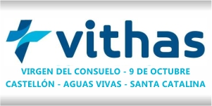 Logotipo de VITHAS-NISA